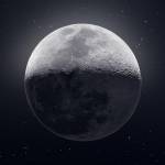Lunar Phoenix Profile Picture