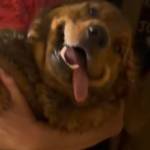 Shay L. Profile Picture