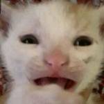 Delilah Herman Profile Picture
