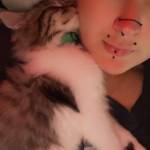 Steph Dalessandro Profile Picture