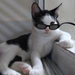 Ankan Profile Picture