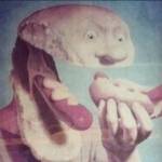 Rae Fuller Profile Picture