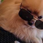 Emrys Re Profile Picture