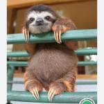 Lance Pretorius profile picture